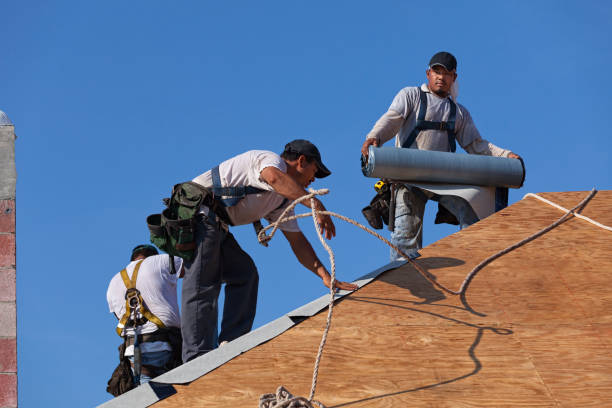 Best Metal Roofing Contractor  in Walce, LA